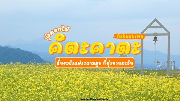 ทุ่งดอกไม้คิตะคาตะ : ตะลุยทุ่งดอกทานตะวันบานสะพรั่ง ที่จังหวัดฟุกุชิมะ