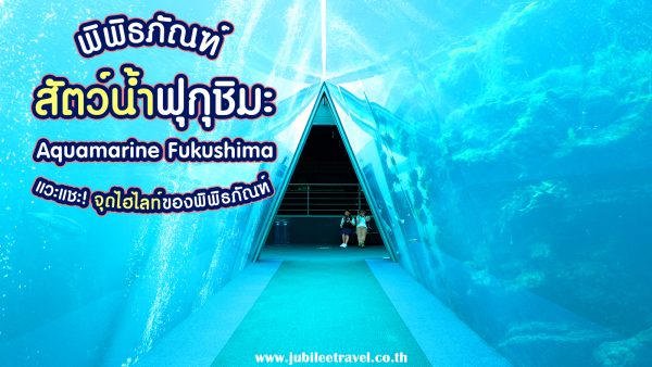 พิพิธภัณฑ์สัตว์น้ำฟุกุชิมะ : ตื่นตาตื่นใจกับสัตว์น้ำนานาชนิด แวะแชะจุดไฮไลท์ของพิพิธภัณฑ์